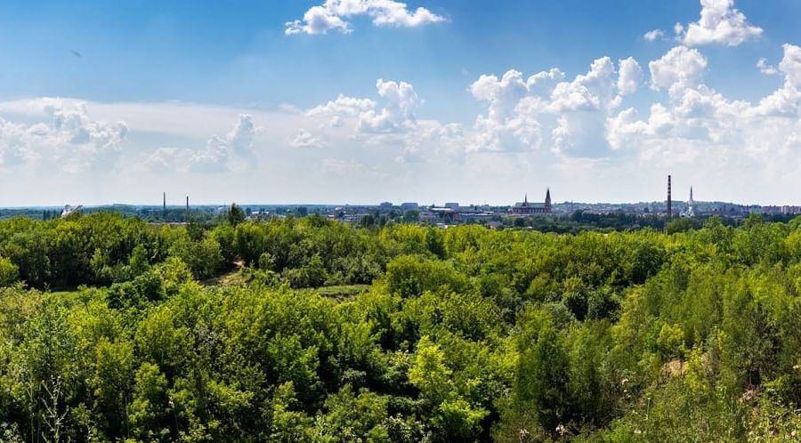 wycieczki szkolne